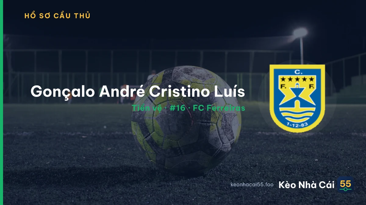 Gonçalo André Cristino Luís — FC Ferreiras