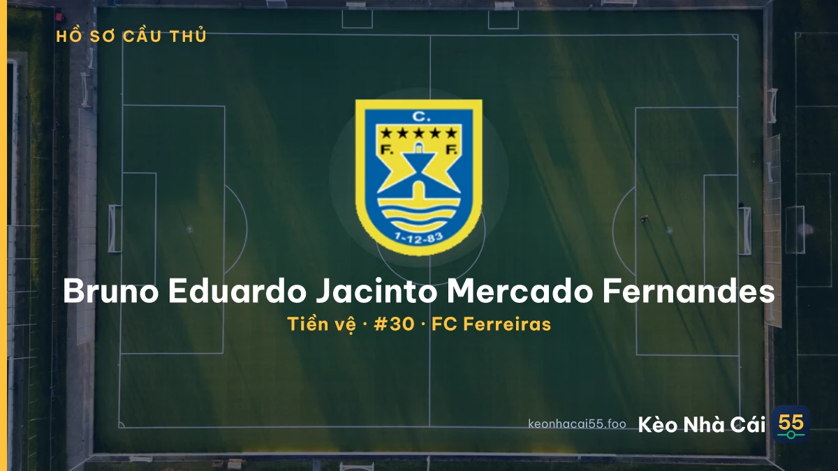 Bruno Eduardo Jacinto Mercado Fernandes — FC Ferreiras