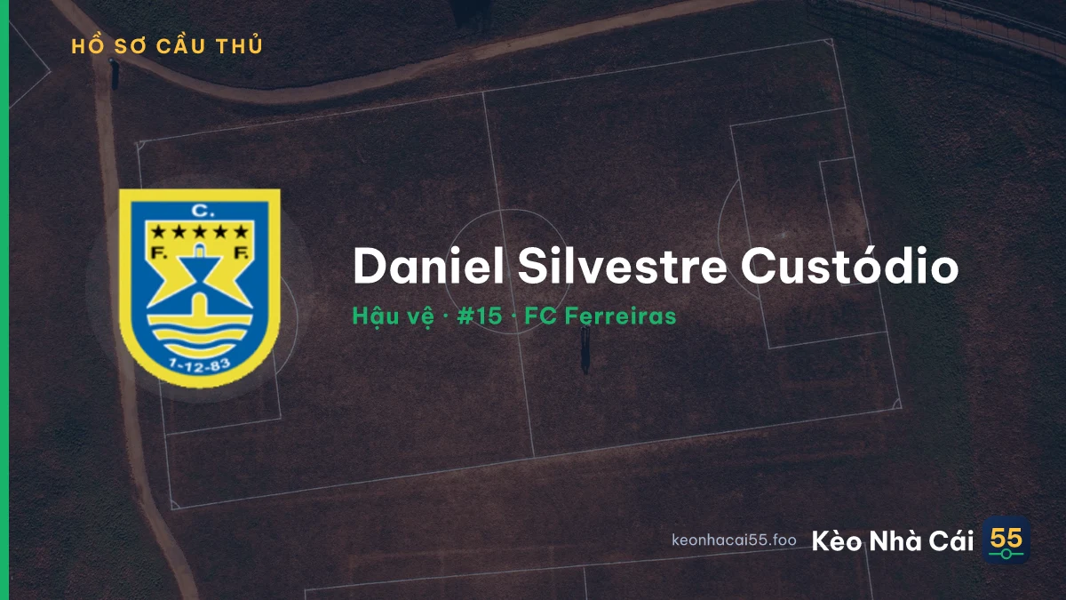Daniel Silvestre Custódio — FC Ferreiras