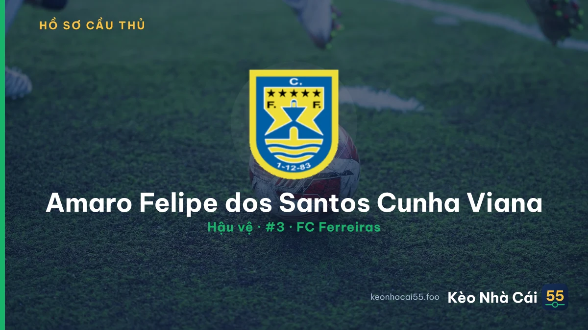 Amaro Felipe dos Santos Cunha Viana — FC Ferreiras
