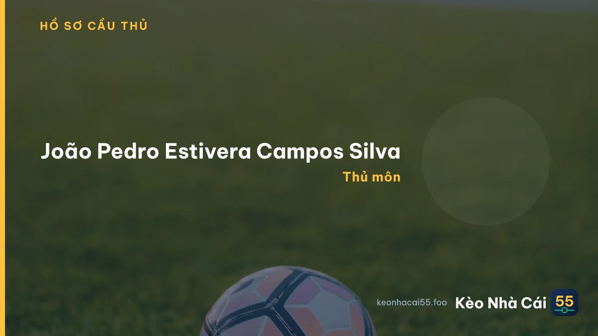 João Pedro Estivera Campos Silva