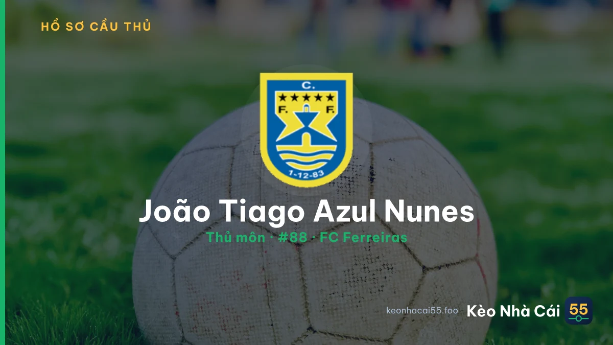 João Tiago Azul Nunes — FC Ferreiras