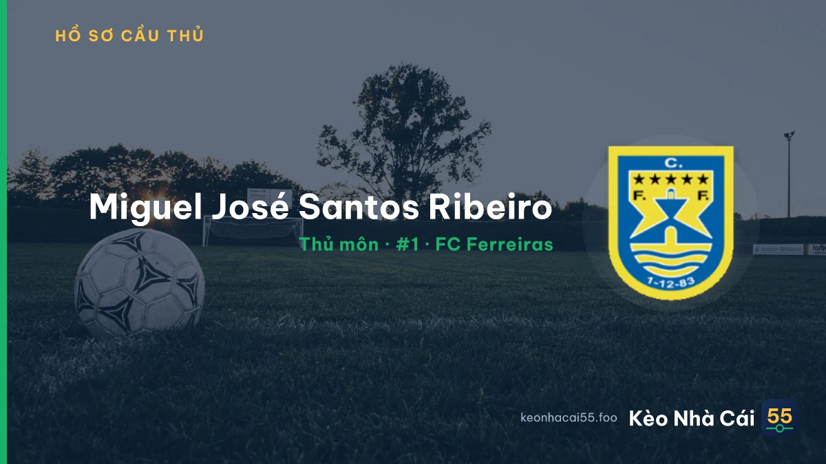 Miguel José  Santos Ribeiro — FC Ferreiras