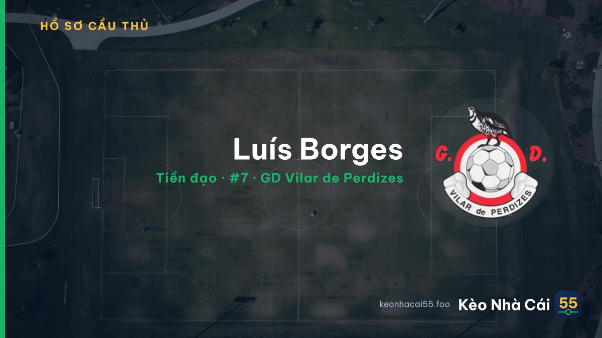 Luís Borges — GD Vilar de Perdizes