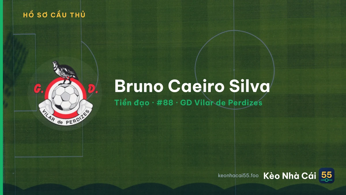 Bruno Caeiro Silva — GD Vilar de Perdizes