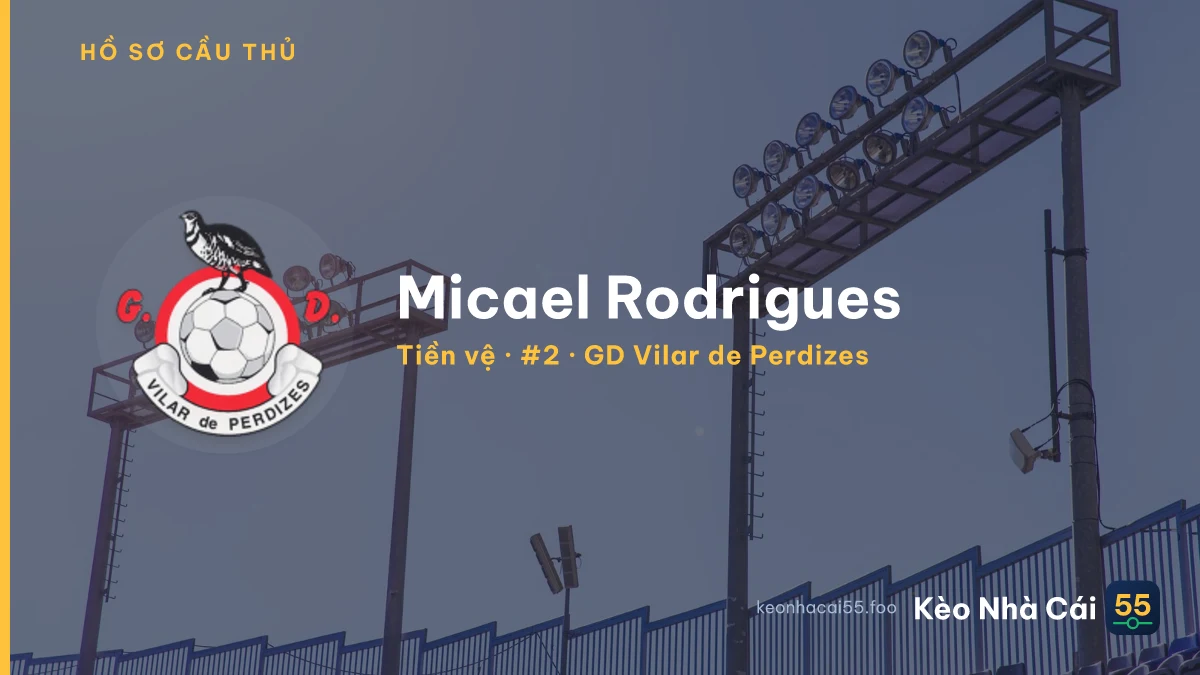 Micael Rodrigues — GD Vilar de Perdizes