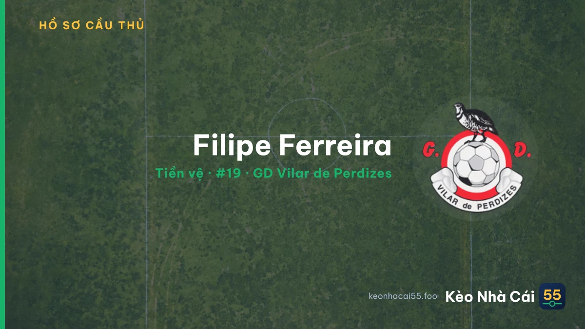 Filipe Ferreira — GD Vilar de Perdizes