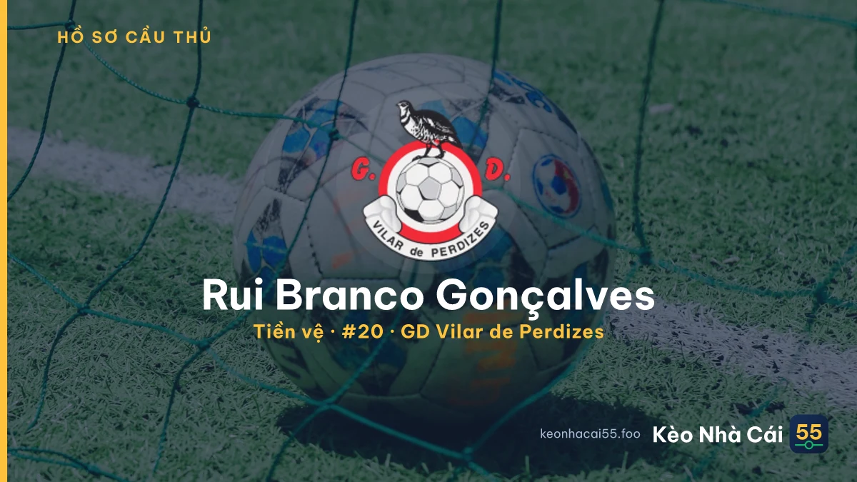 Rui Branco Gonçalves — GD Vilar de Perdizes