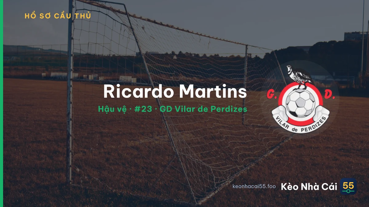Ricardo Martins — GD Vilar de Perdizes