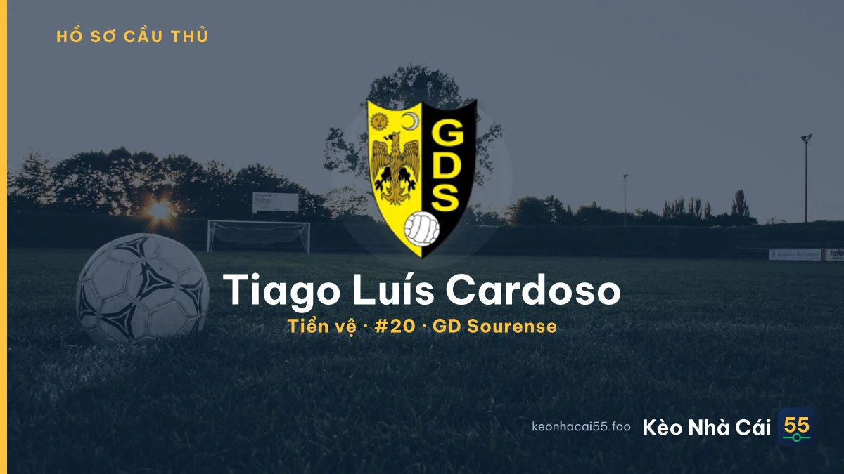 Tiago Luís  Cardoso — GD Sourense
