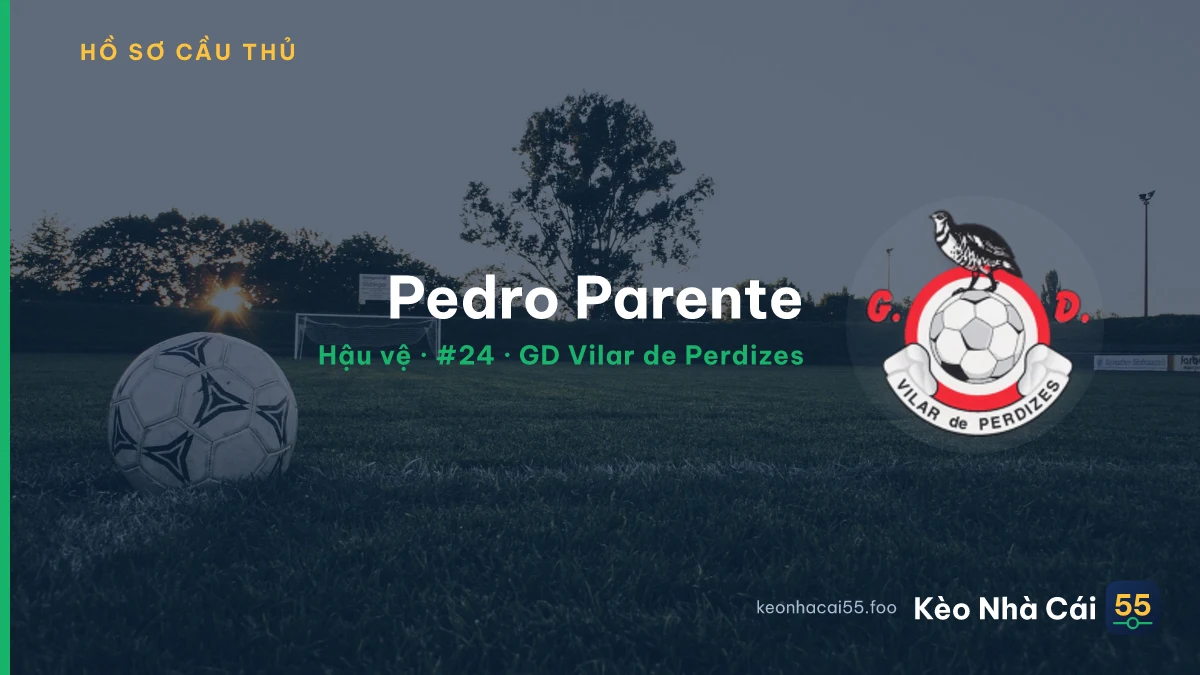 Pedro Parente — GD Vilar de Perdizes