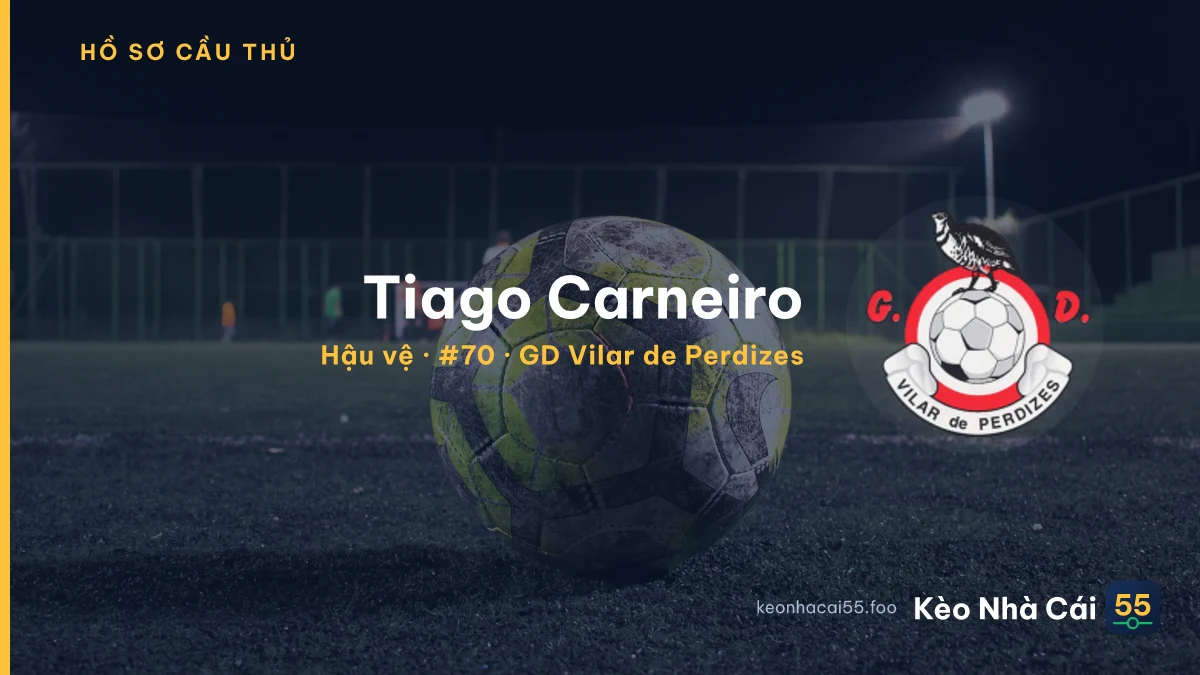 Tiago Carneiro — GD Vilar de Perdizes