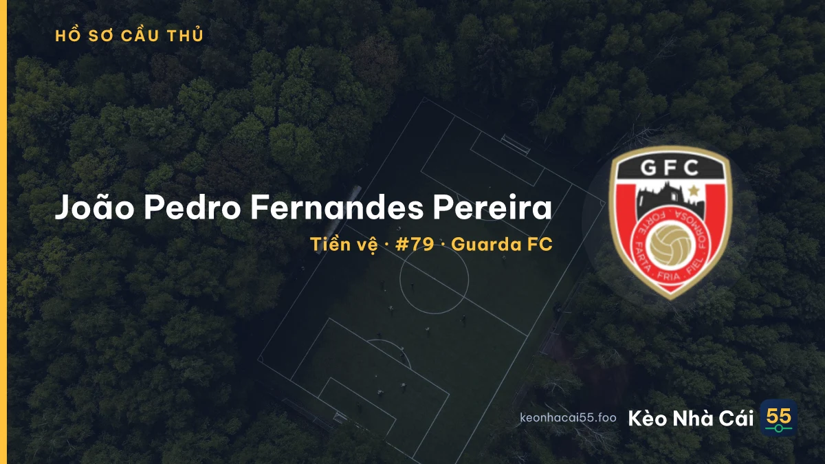 João Pedro Fernandes Pereira — Guarda FC