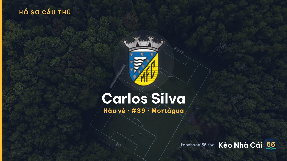 Carlos Silva — Mortágua