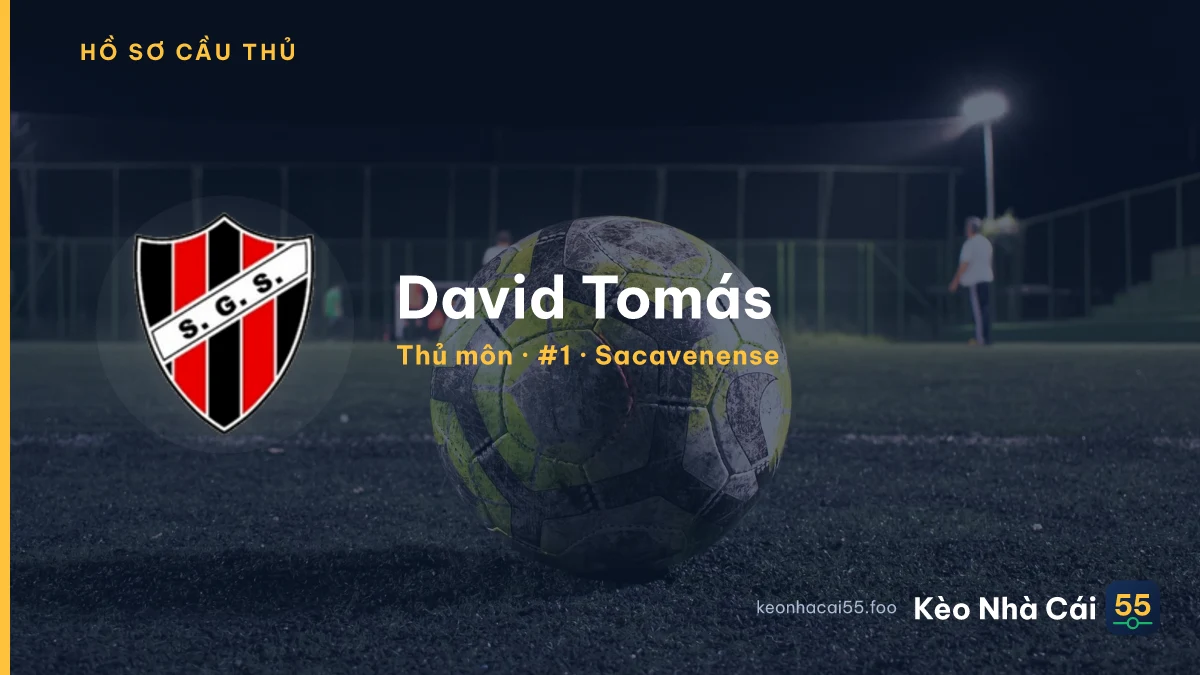 David Tomás — Sacavenense