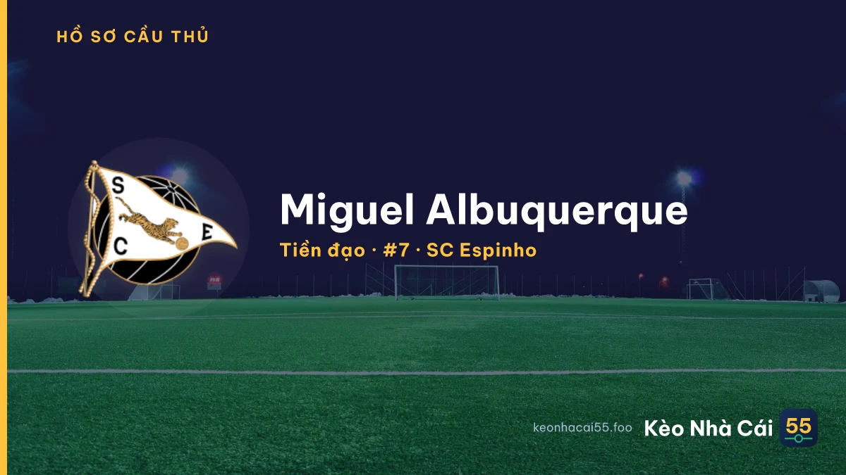 Miguel Albuquerque — SC Espinho