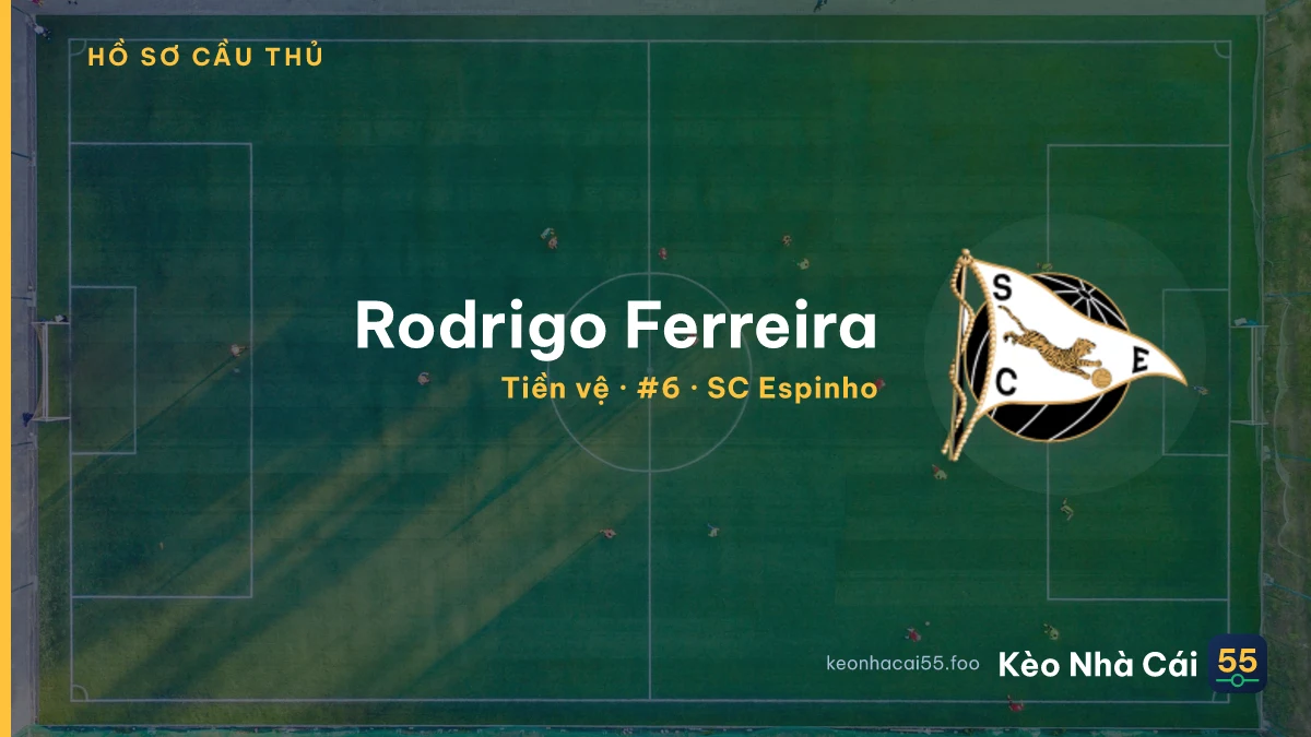 Rodrigo Ferreira — SC Espinho
