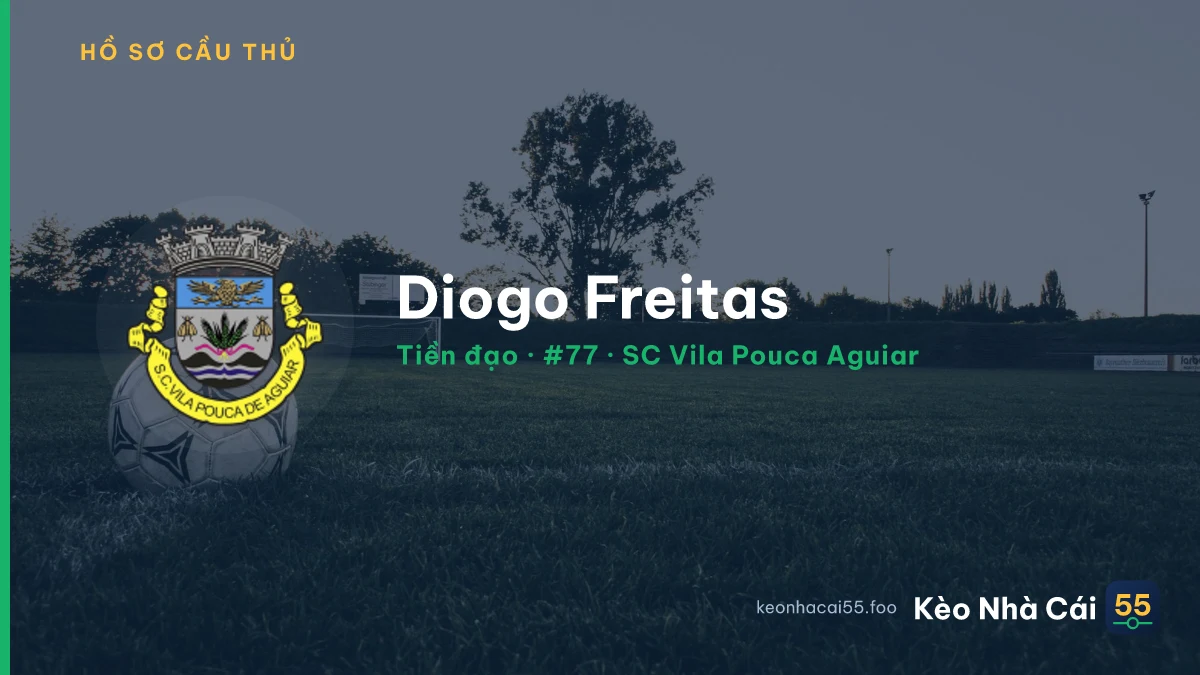 Diogo Freitas — SC Vila Pouca Aguiar