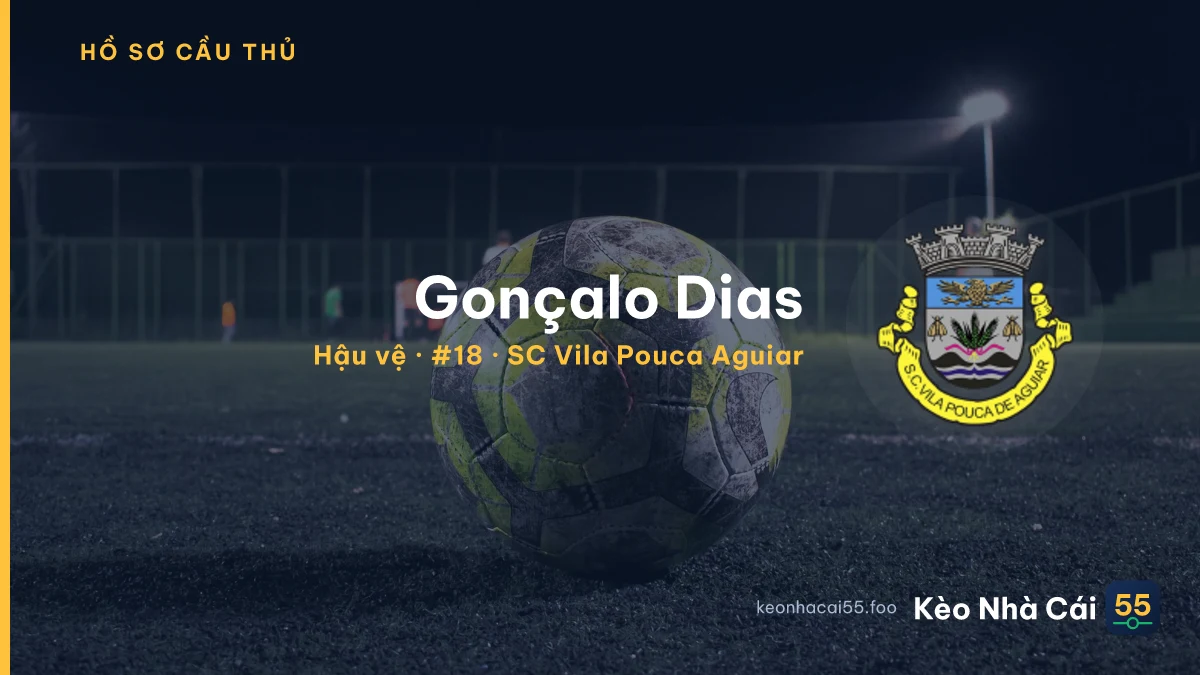 Gonçalo Dias — SC Vila Pouca Aguiar