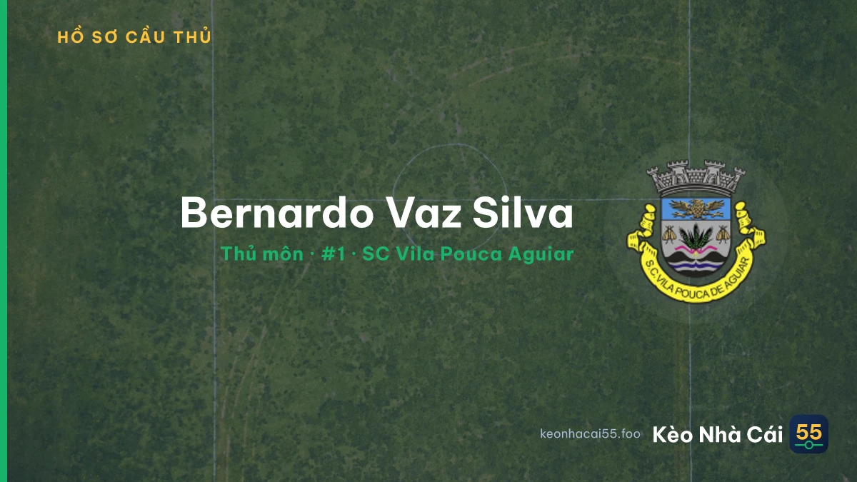Bernardo Vaz Silva — SC Vila Pouca Aguiar