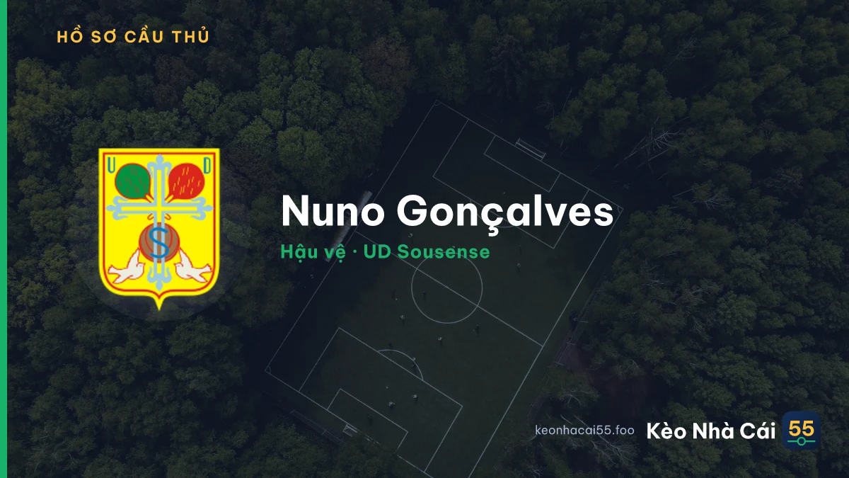 Nuno Gonçalves — UD Sousense