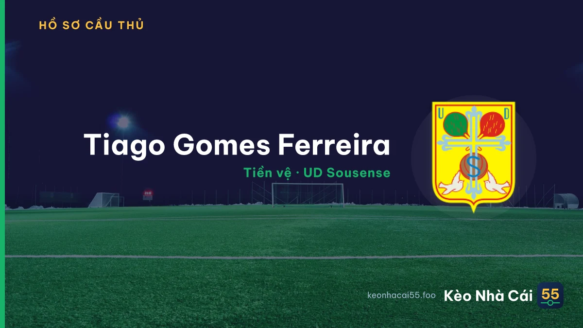 Tiago Gomes Ferreira — UD Sousense