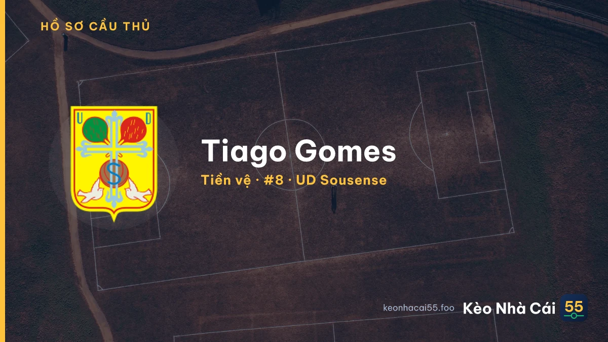 Tiago Gomes — UD Sousense