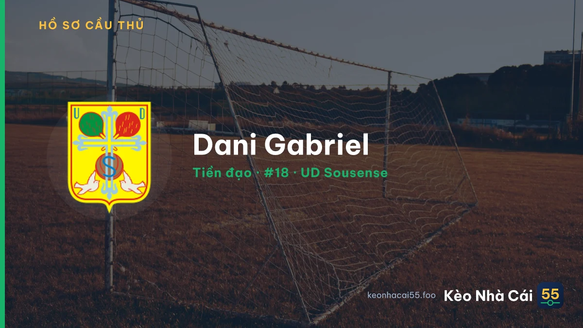 Dani Gabriel — UD Sousense