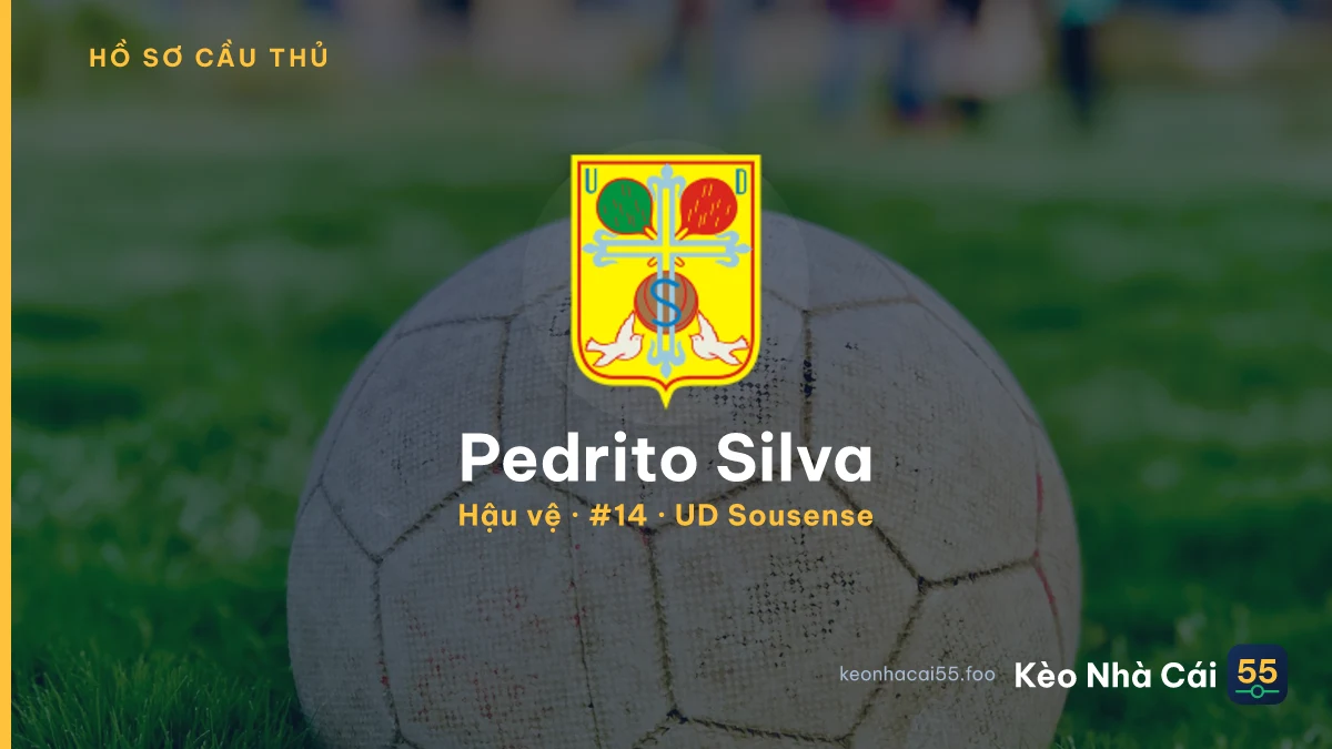 Pedrito Silva — UD Sousense