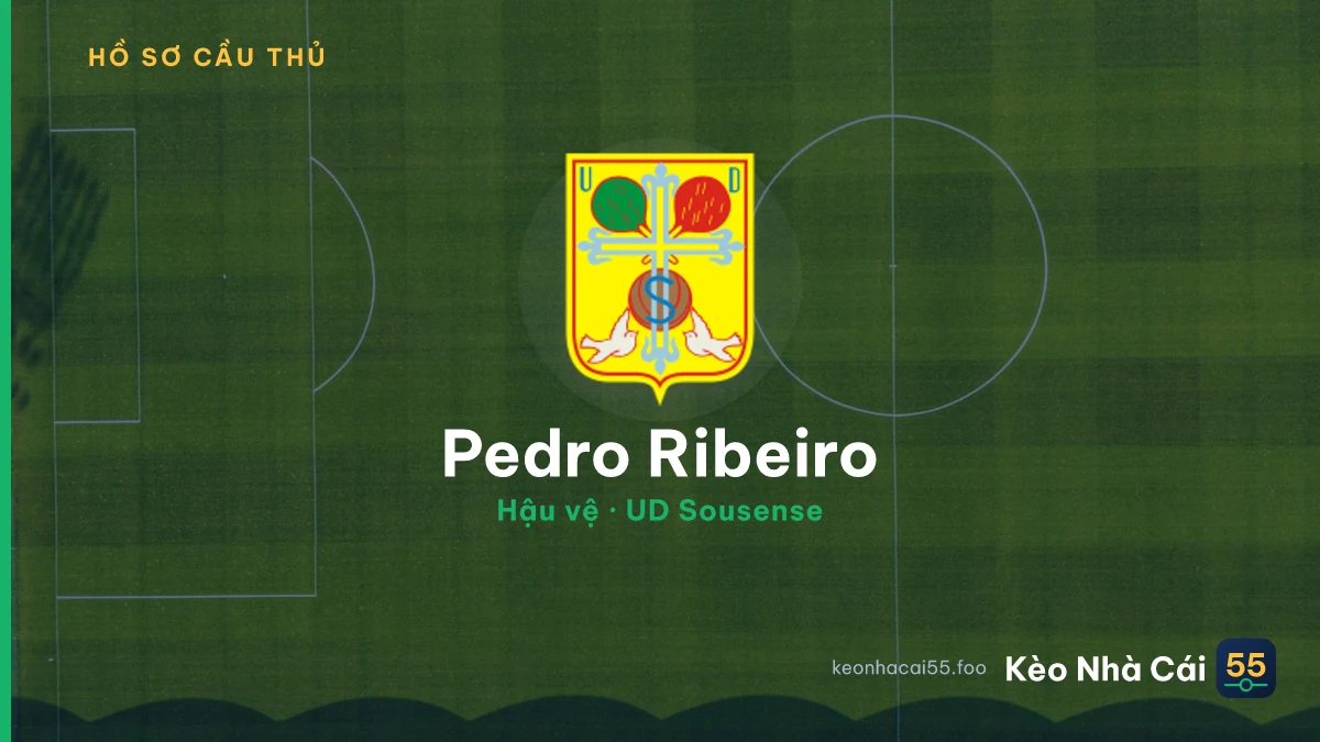 Pedro Ribeiro — UD Sousense