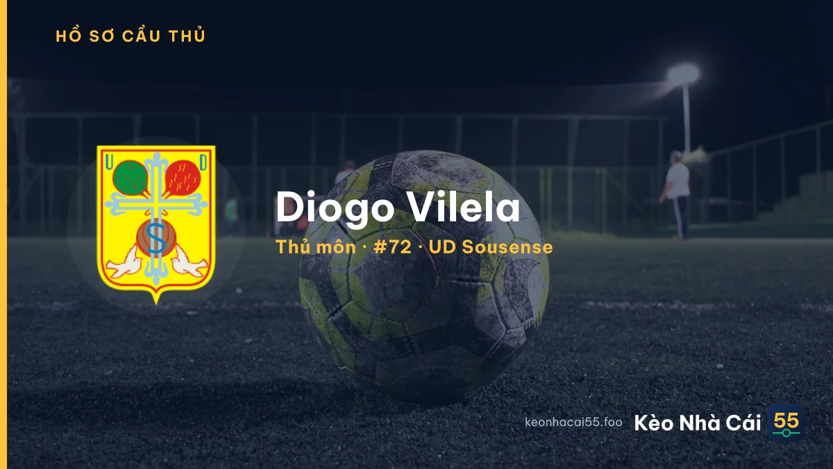 Diogo Vilela — UD Sousense