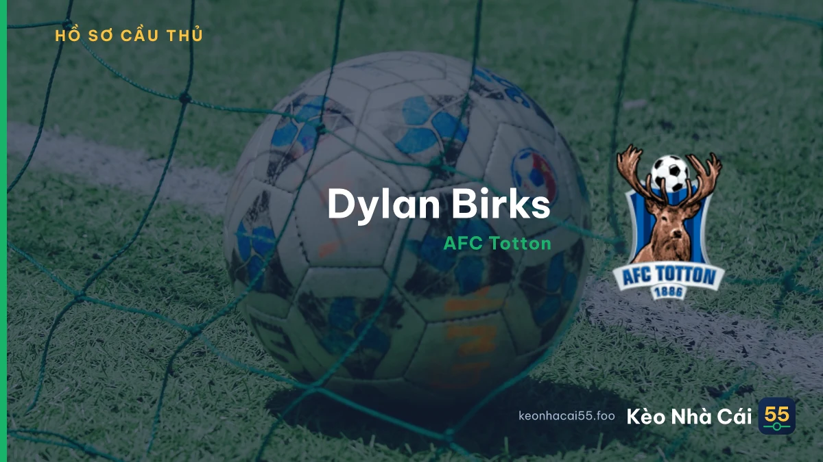 Dylan Birks — AFC Totton