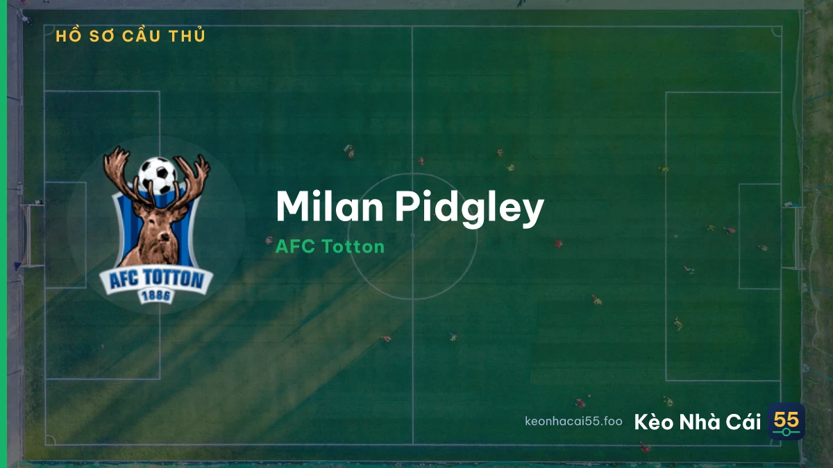 Milan Pidgley — AFC Totton