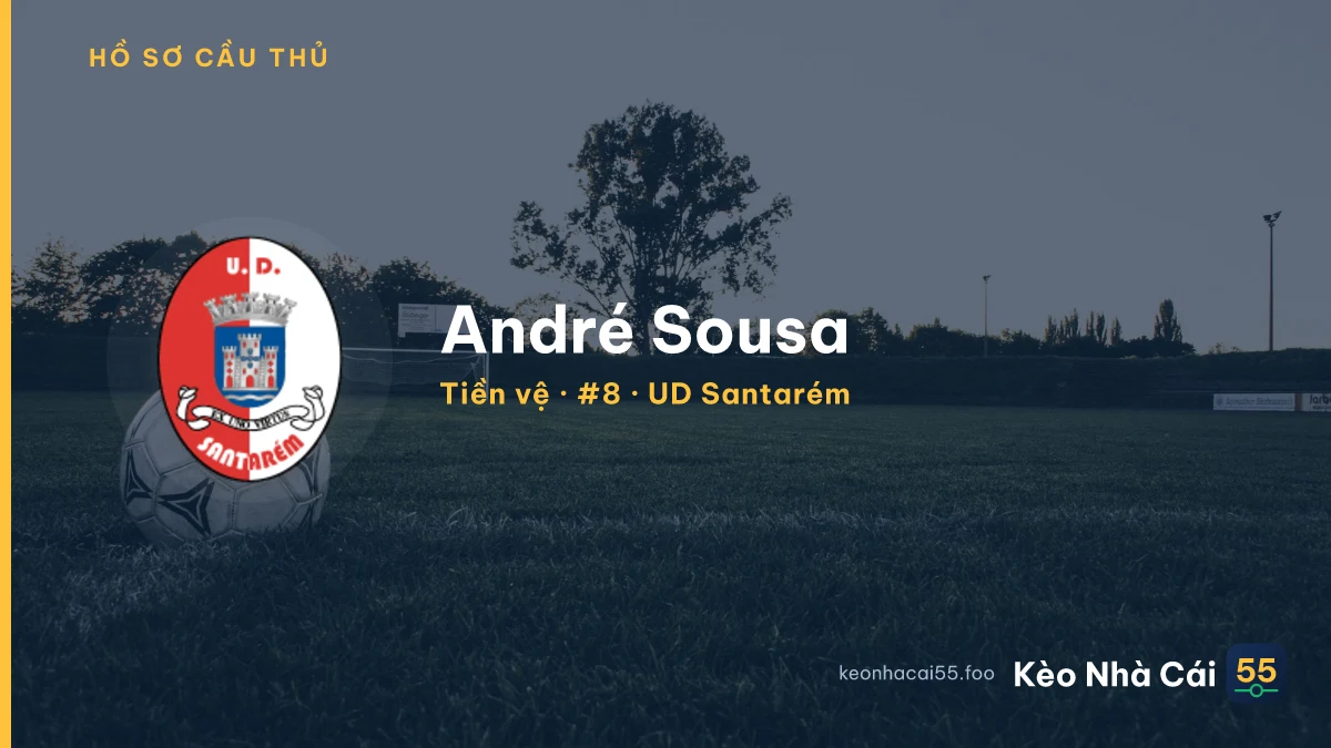 André Sousa — UD Santarém