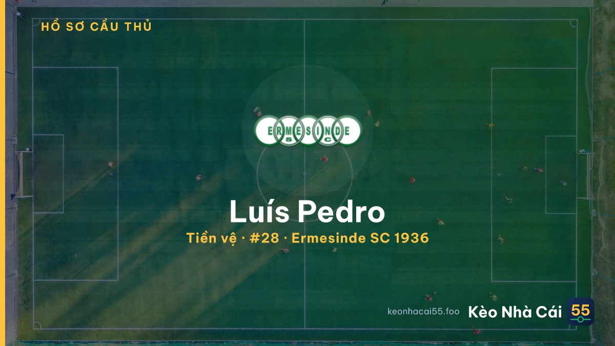 Luís Pedro — Ermesinde SC 1936