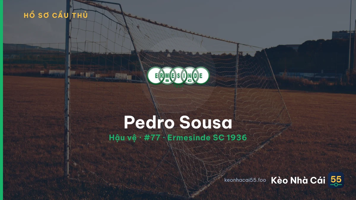 Pedro Sousa — Ermesinde SC 1936