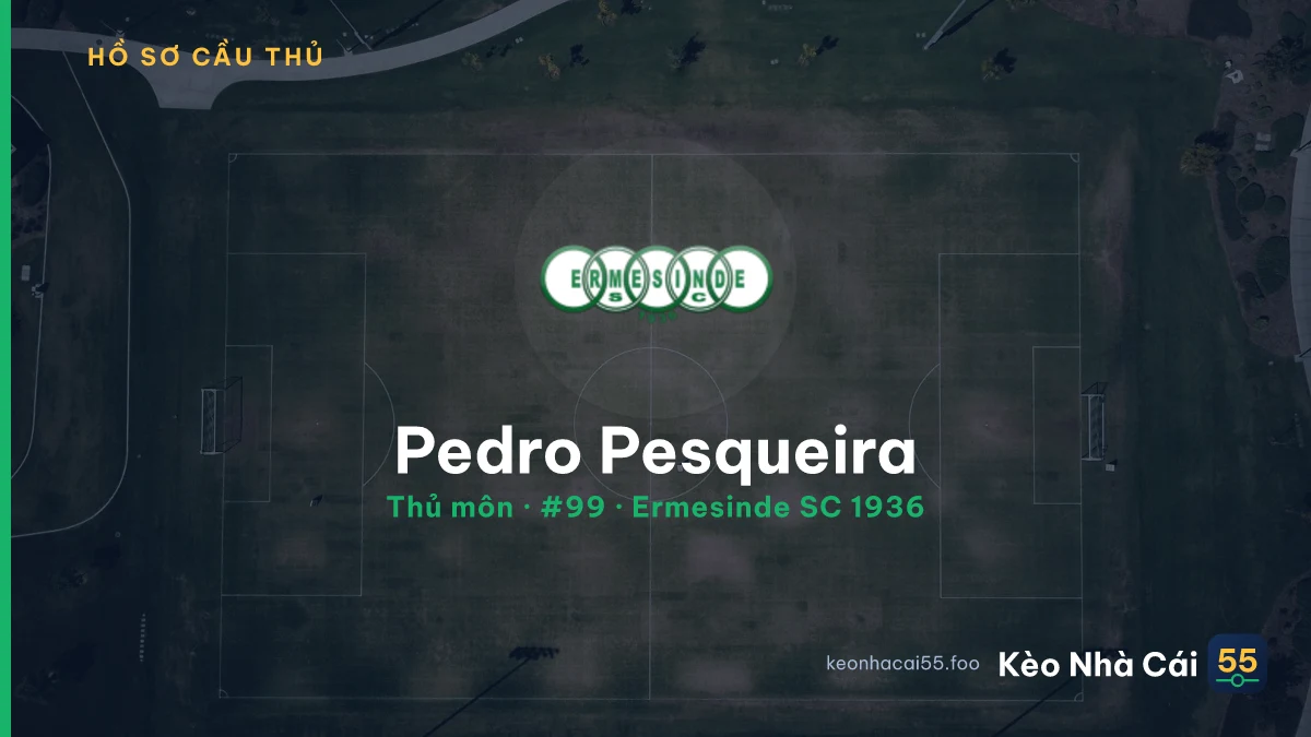 Pedro Pesqueira — Ermesinde SC 1936