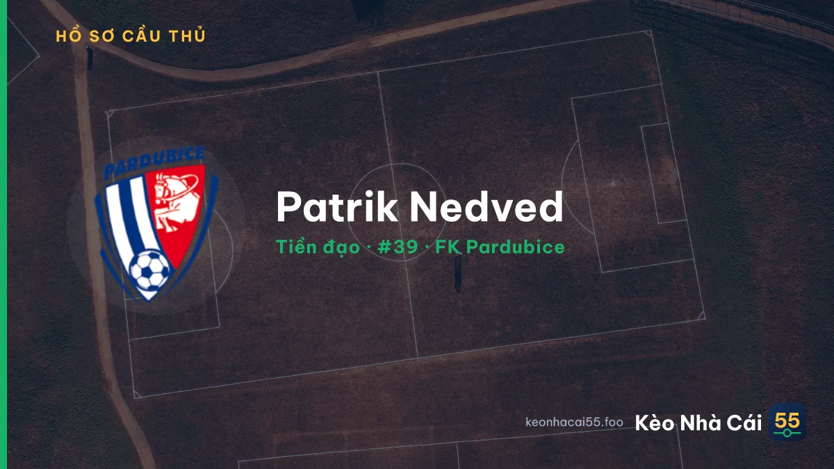 Patrik Nedved — FK Pardubice