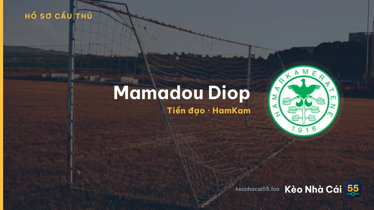 Mamadou Diop — HamKam