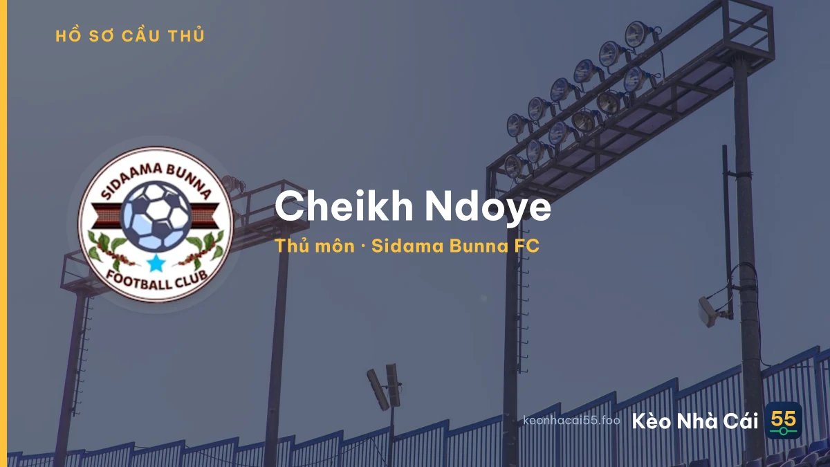 Cheikh Ndoye — Sidama Bunna FC