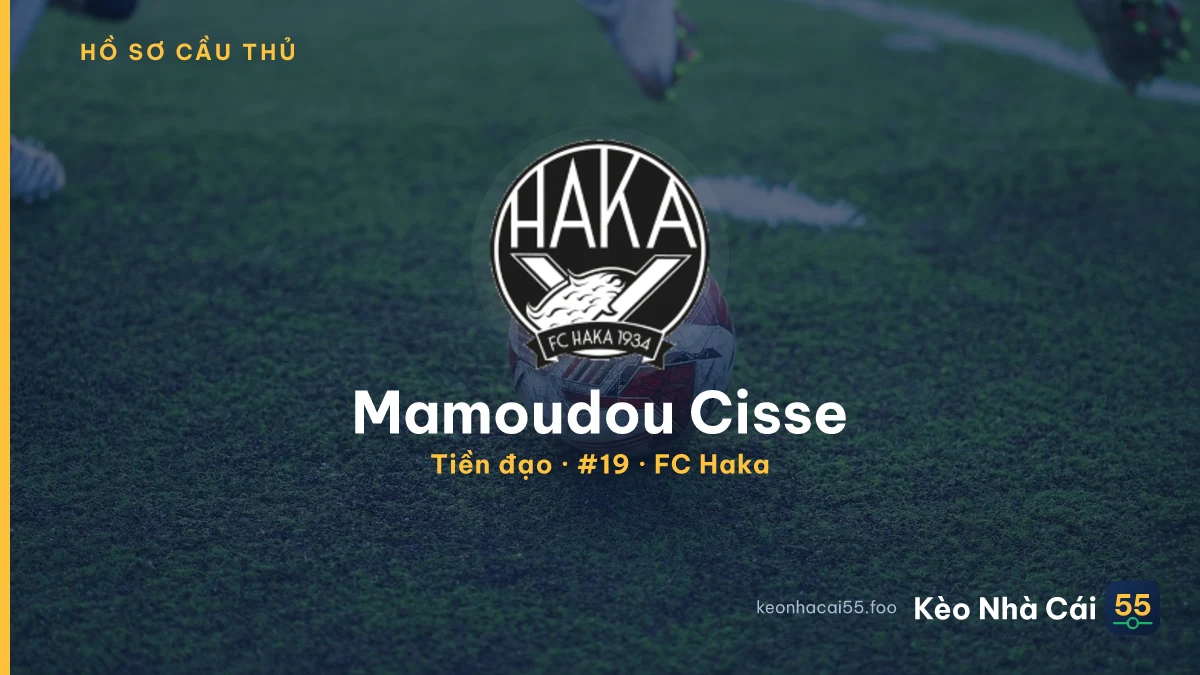 Mamoudou Cisse — FC Haka