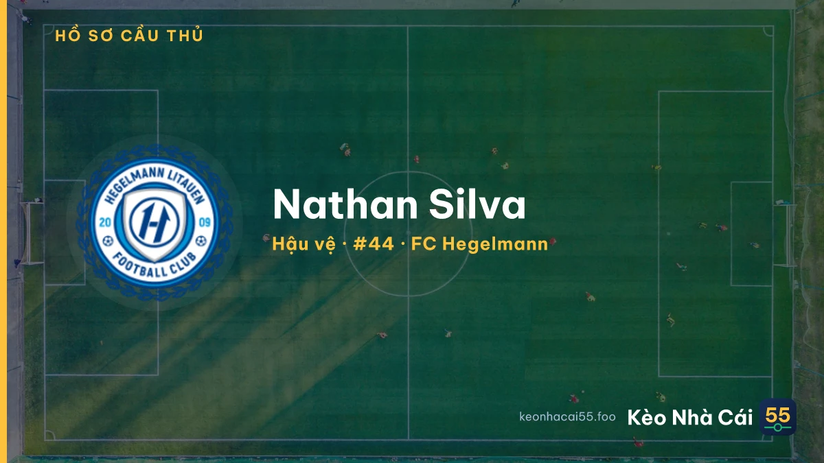 Nathan Silva — FC Hegelmann