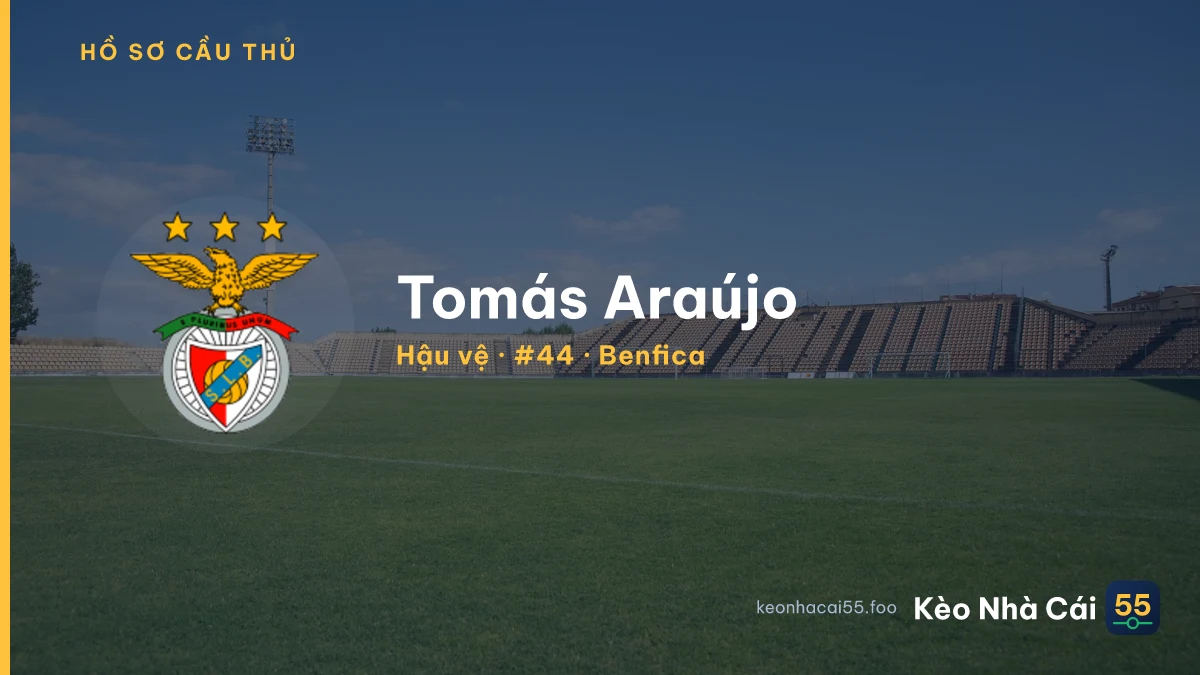 Tomás Araújo — Benfica