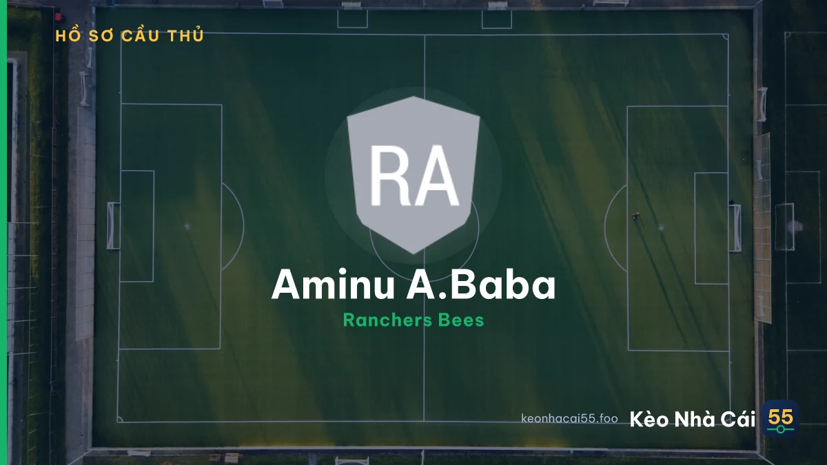 Aminu A.Baba — Ranchers Bees