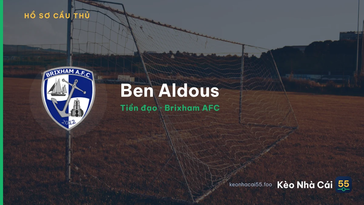Ben Aldous — Brixham AFC