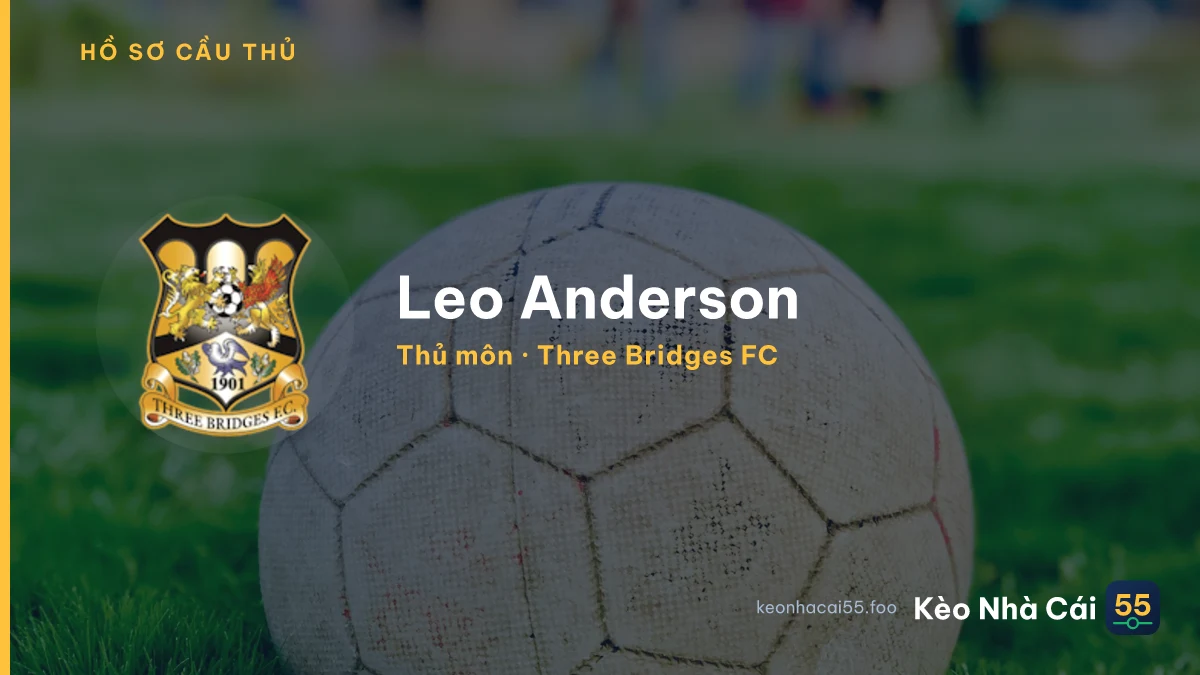 Leo Anderson — Three Bridges FC
