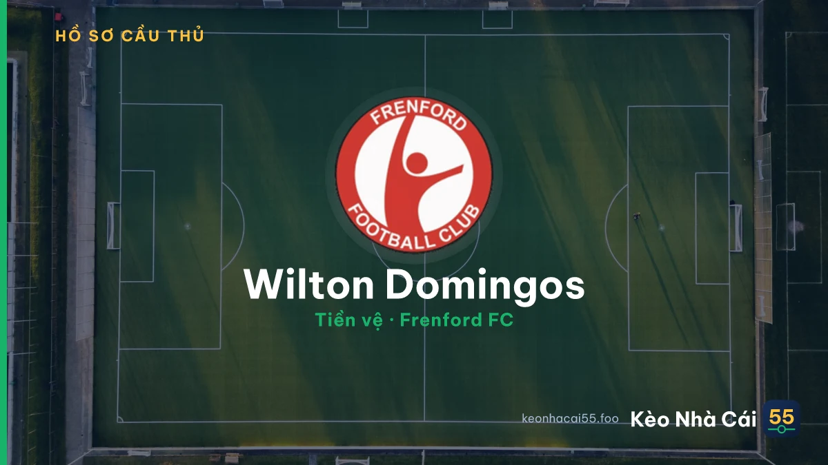 Wilton Domingos — Frenford FC