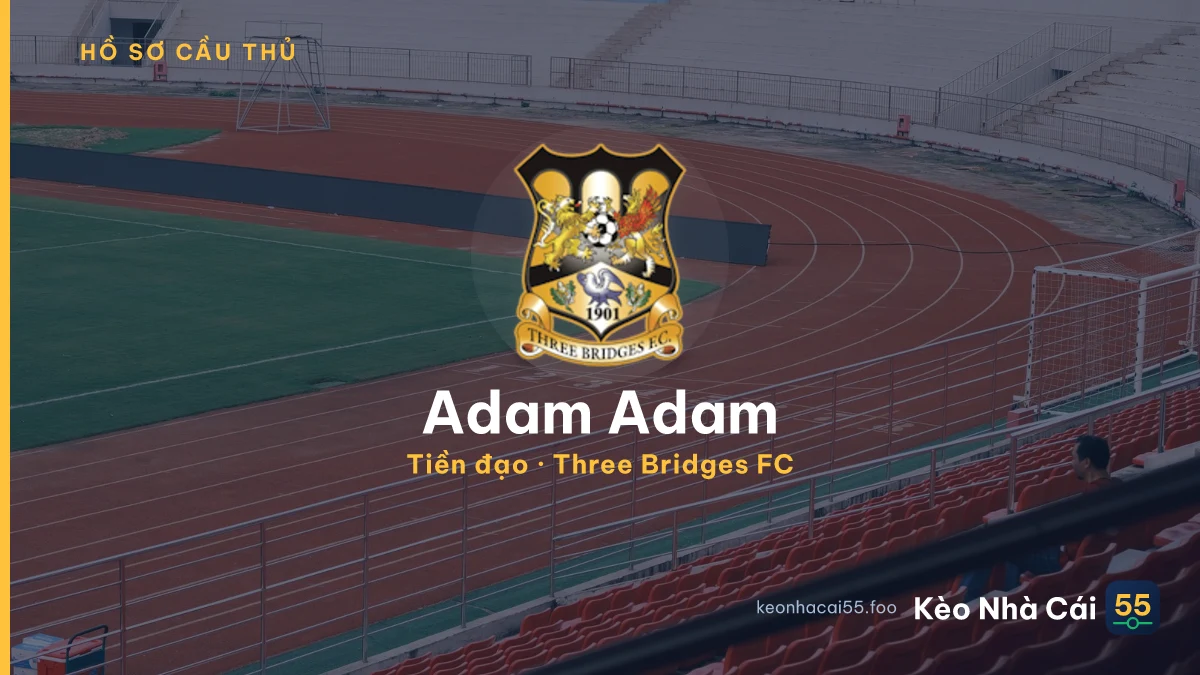 Adam Adam — Three Bridges FC