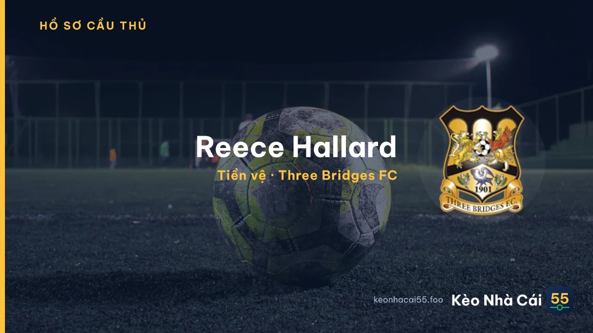 Reece Hallard — Three Bridges FC