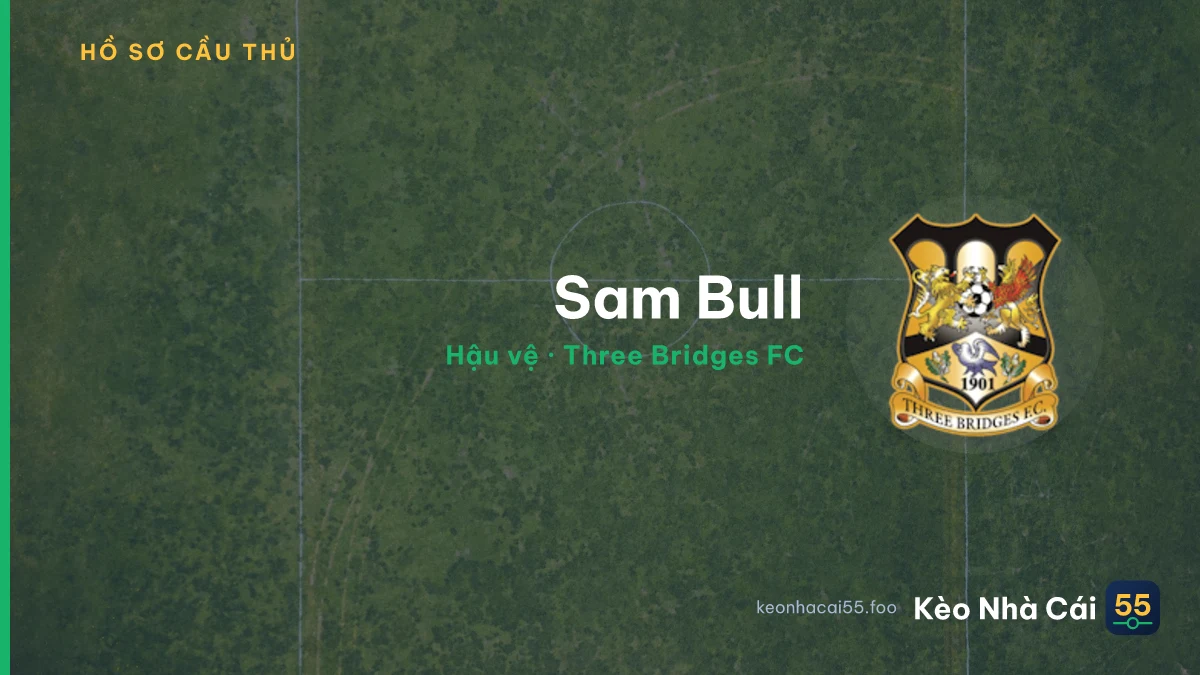 Sam Bull — Three Bridges FC